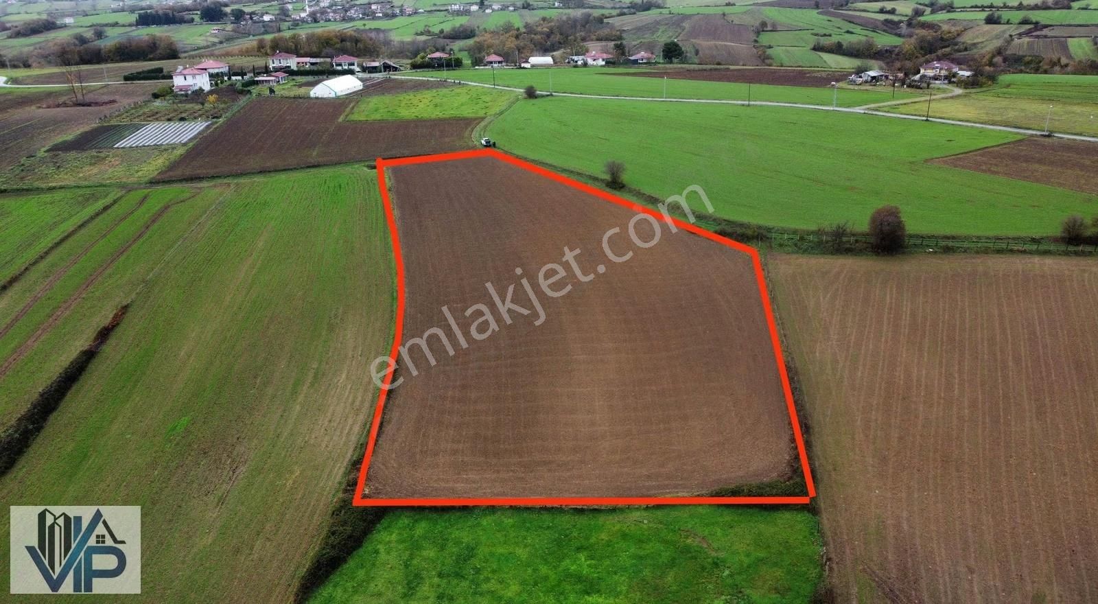 Bafra Vıp Gayrimenkulden Evrenuşağında 11.745m2 Tarla