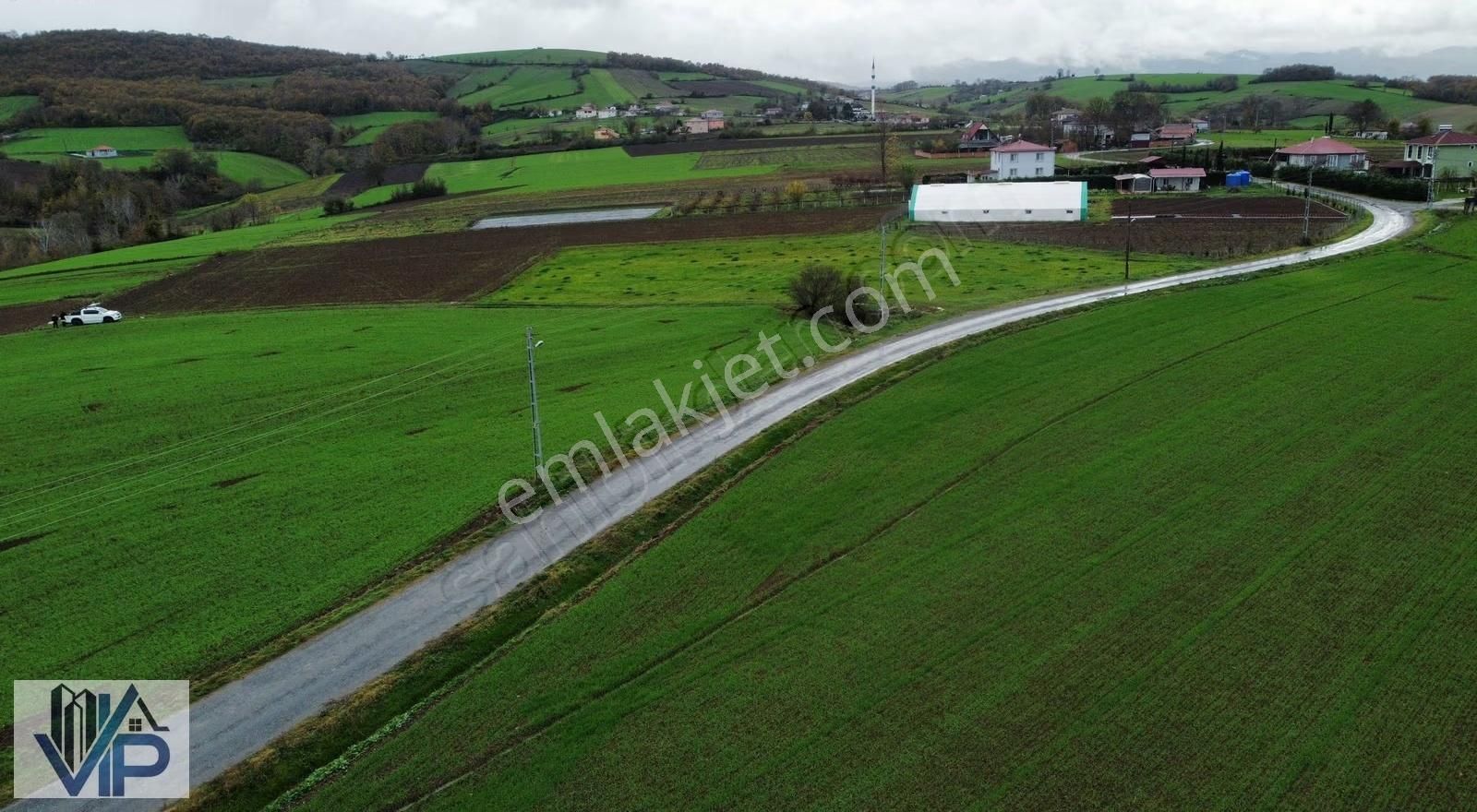 Bafra Vıp Gayrimenkulden Evrenuşağında 11.745m2 Tarla - Görsel 7