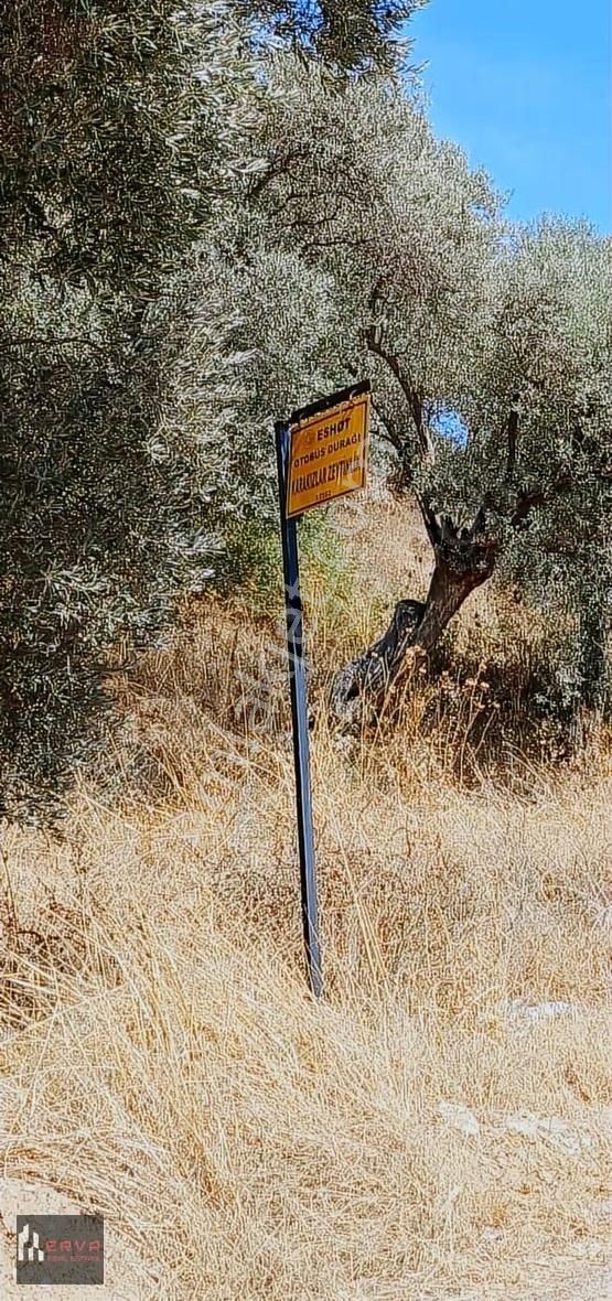 Torbalı Karakızlarda Satılık 309 M2 Arsa - Görsel 4