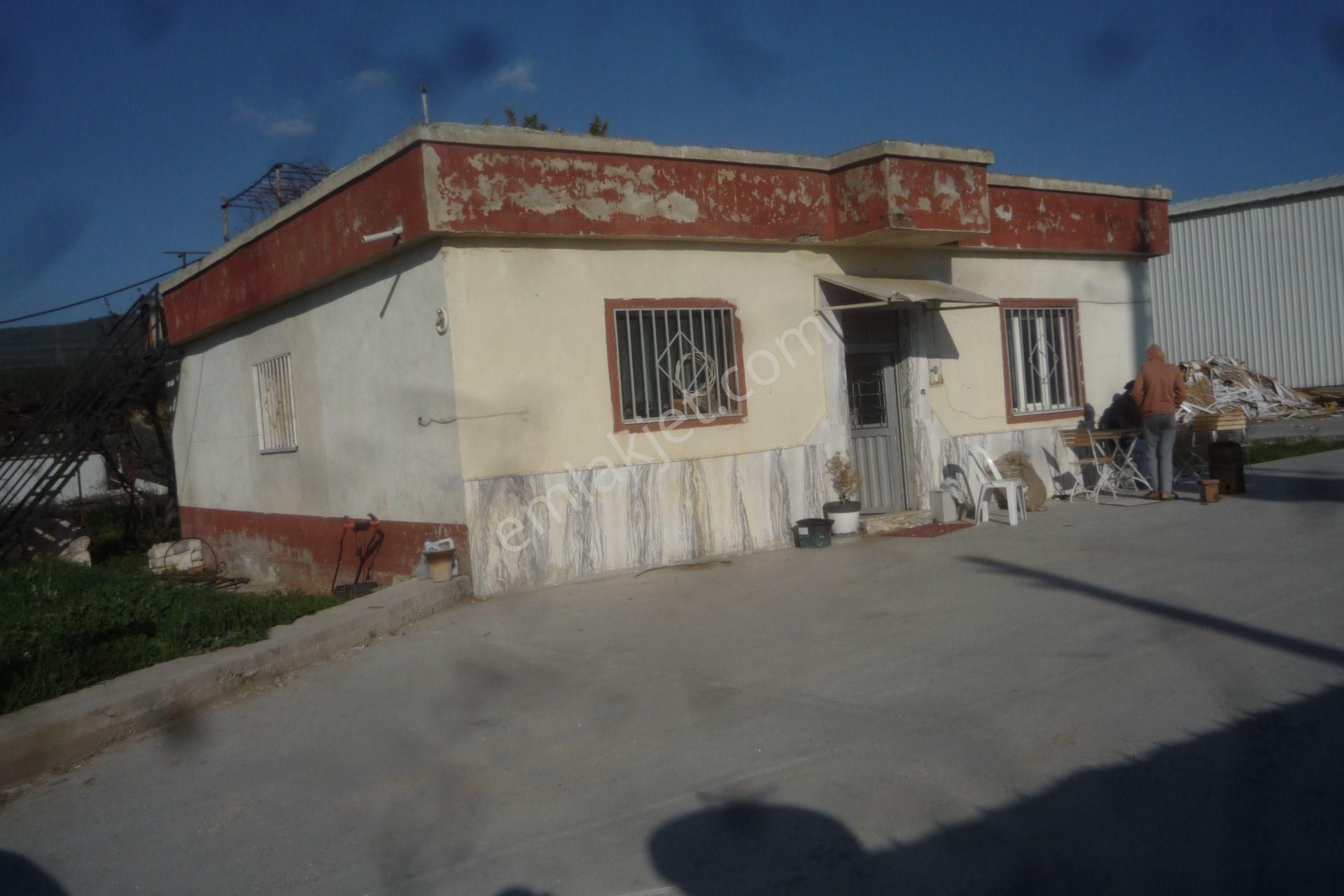 İzmir Torbalı Gold Emlaktan D Emlaktan Kiralık Evi Ve Depo - Görsel 4