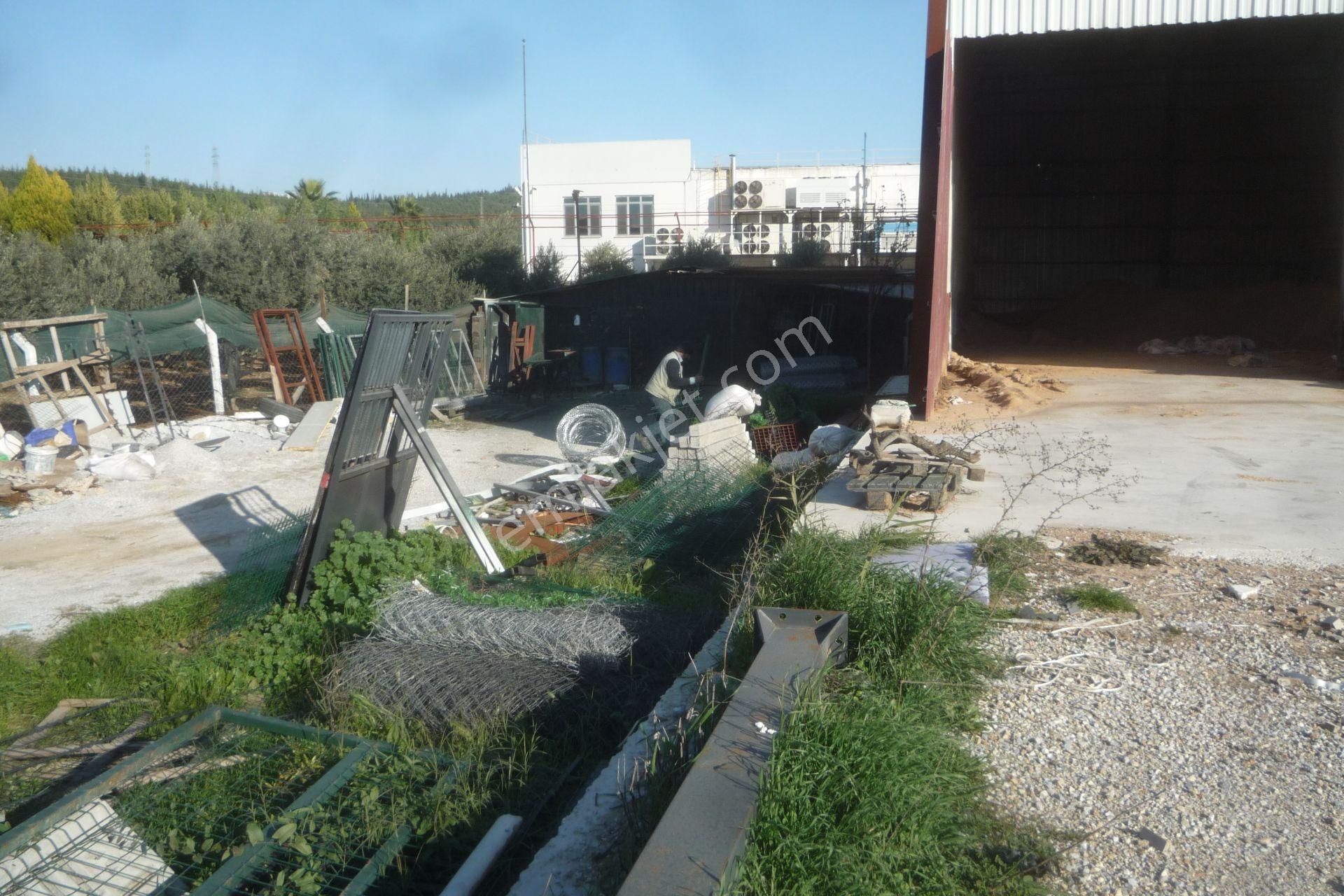 İzmir Torbalı Gold Emlaktan D Emlaktan Kiralık Evi Ve Depo - Görsel 16