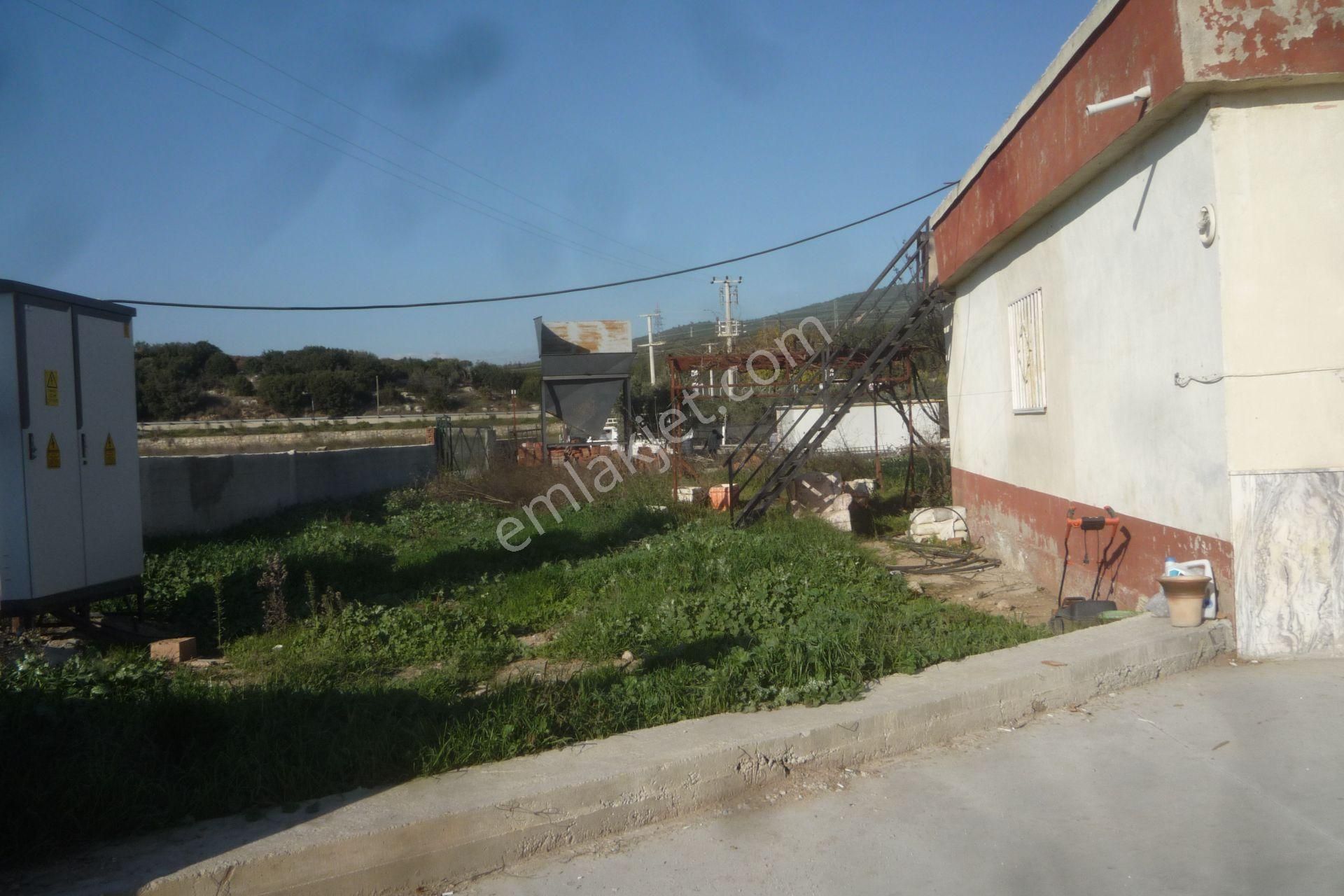 İzmir Torbalı Gold Emlaktan D Emlaktan Kiralık Evi Ve Depo - Görsel 5