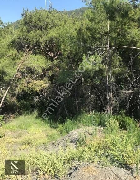 Kuşadası Kirazlı Satılık 3440 M2 Tek Tapu Bahçe Merkeze 500 Mt - Görsel 9