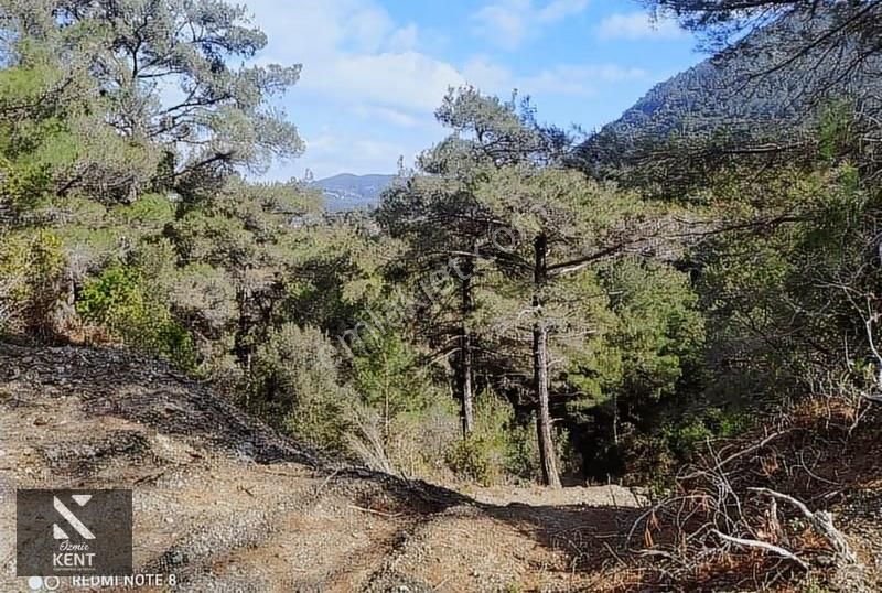 Kuşadası Kirazlı Satılık 3440 M2 Tek Tapu Bahçe Merkeze 500 Mt - Görsel 6