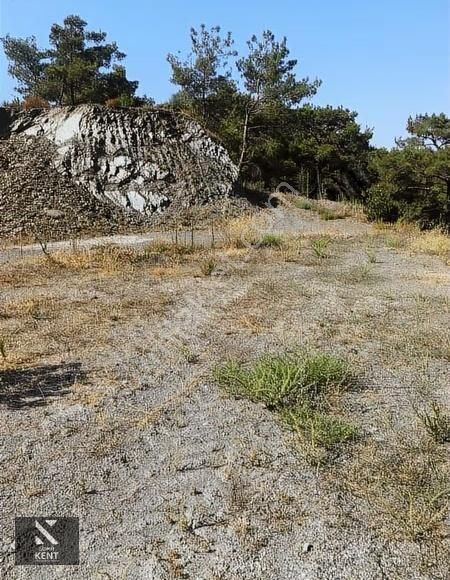 Kuşadası Kirazlı Satılık 3440 M2 Tek Tapu Bahçe Merkeze 500 Mt - Görsel 17
