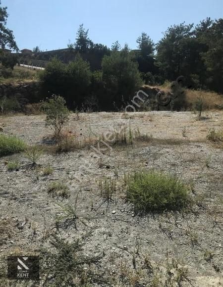 Kuşadası Kirazlı Satılık 3440 M2 Tek Tapu Bahçe Merkeze 500 Mt - Görsel 20