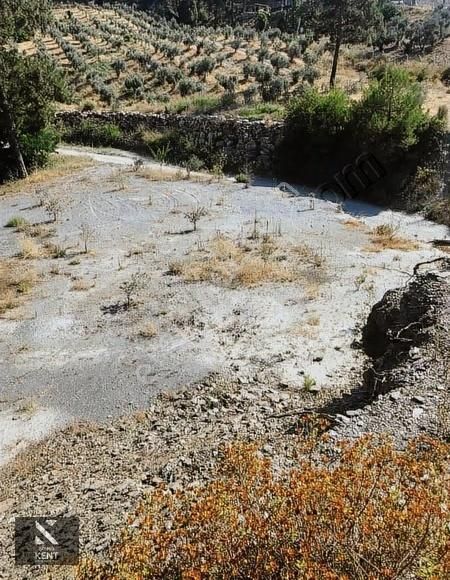 Kuşadası Kirazlı Satılık 3440 M2 Tek Tapu Bahçe Merkeze 500 Mt - Görsel 18