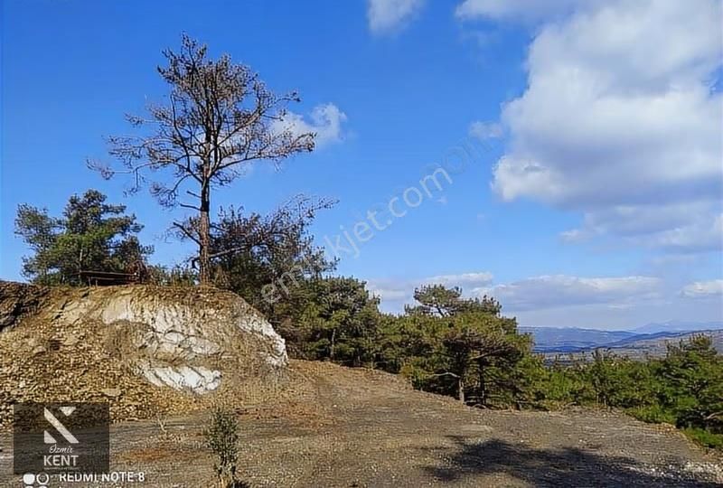 Kuşadası Kirazlı Satılık 3440 M2 Tek Tapu Bahçe Merkeze 500 Mt - Görsel 15