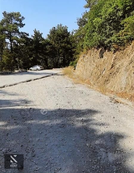 Kuşadası Kirazlı Satılık 3440 M2 Tek Tapu Bahçe Merkeze 500 Mt - Görsel 22