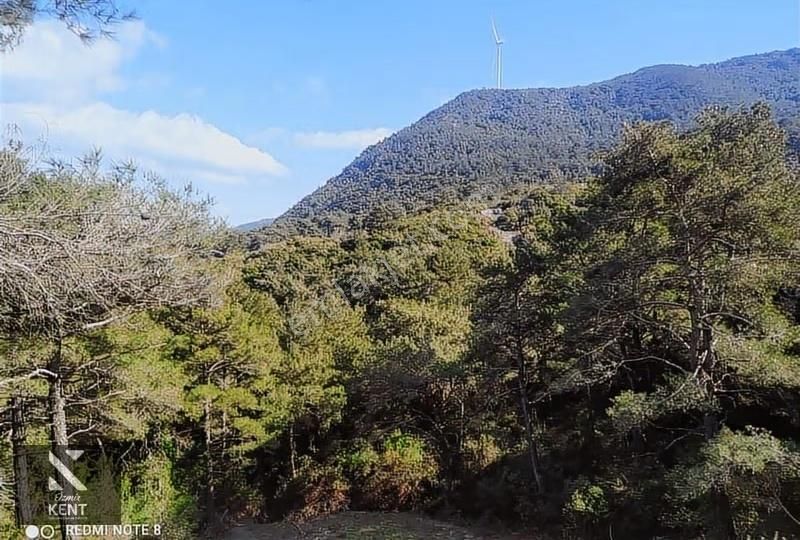 Kuşadası Kirazlı Satılık 3440 M2 Tek Tapu Bahçe Merkeze 500 Mt - Görsel 3