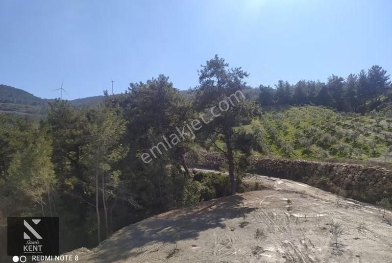 Kuşadası Kirazlı Satılık 3440 M2 Tek Tapu Bahçe Merkeze 500 Mt - Görsel 8