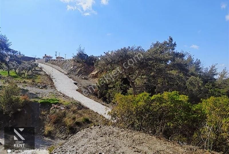 Kuşadası Kirazlı Satılık 3440 M2 Tek Tapu Bahçe Merkeze 500 Mt - Görsel 7