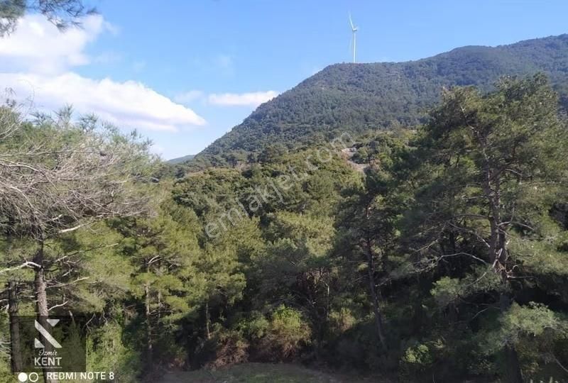 Kuşadası Kirazlı Satılık 3440 M2 Tek Tapu Bahçe Merkeze 500 Mt - Görsel 12