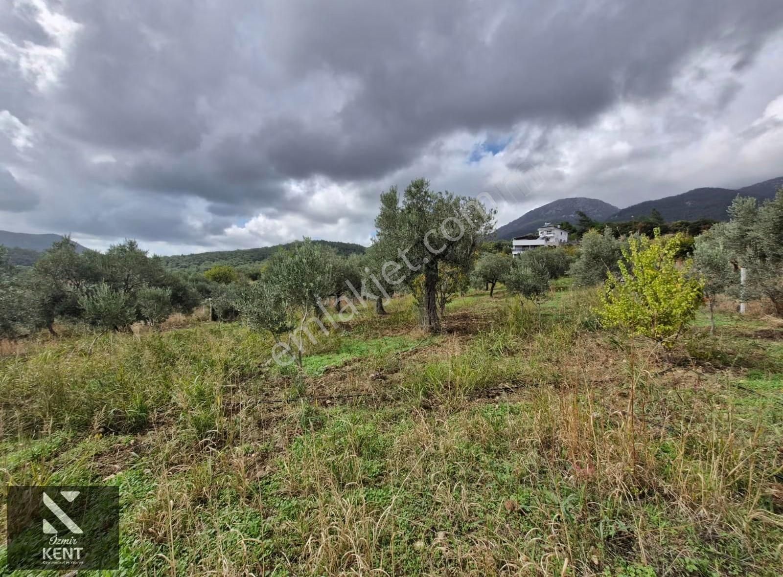 Kemalpaşa Vişneli Satılık 2920 M2 Dubleks Konut Ve Arsa - Görsel 25