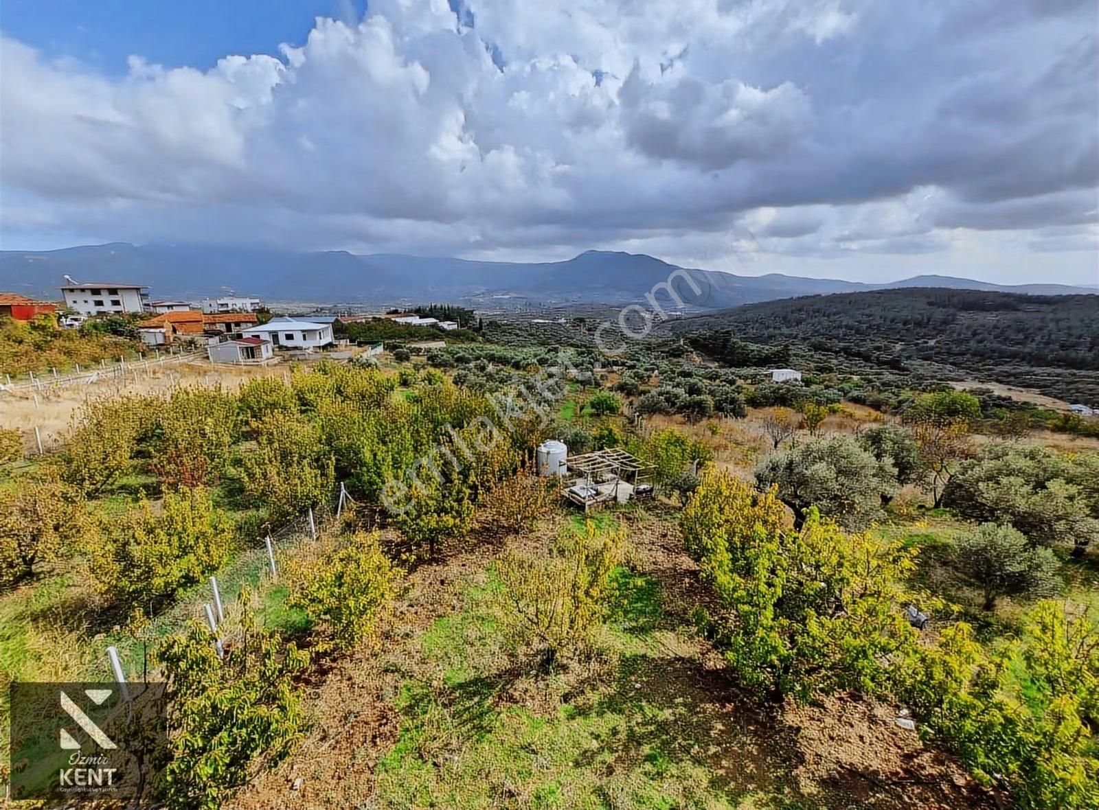 Kemalpaşa Vişneli Satılık 2920 M2 Dubleks Konut Ve Arsa - Görsel 16