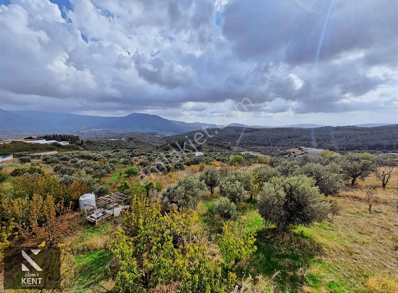 Kemalpaşa Vişneli Satılık 2920 M2 Dubleks Konut Ve Arsa - Görsel 20