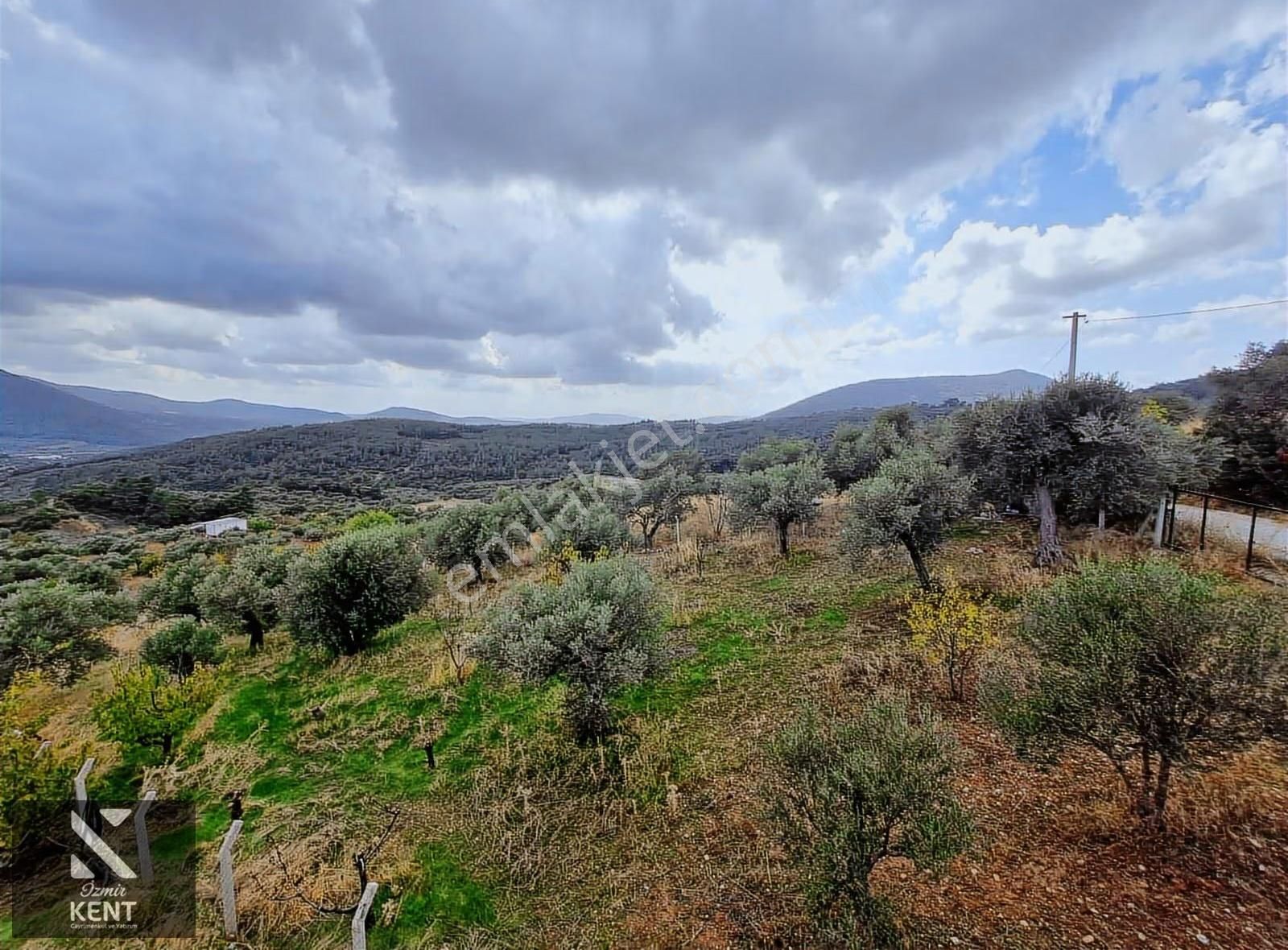 Kemalpaşa Vişneli Satılık 2920 M2 Dubleks Konut Ve Arsa - Görsel 2