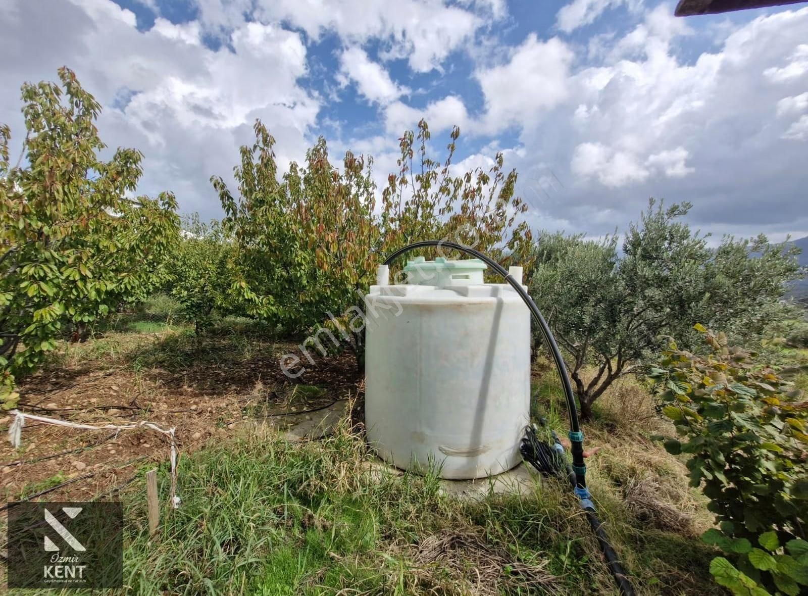 Kemalpaşa Vişneli Satılık 2920 M2 Dubleks Konut Ve Arsa - Görsel 9