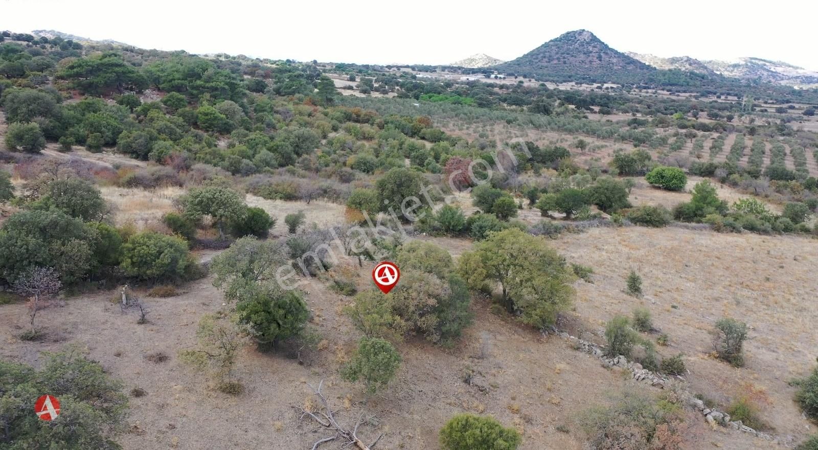 Çanakkale, Ezine, Yavaşlar Köyü, 388 M2 Satılık Arazi - Görsel 4