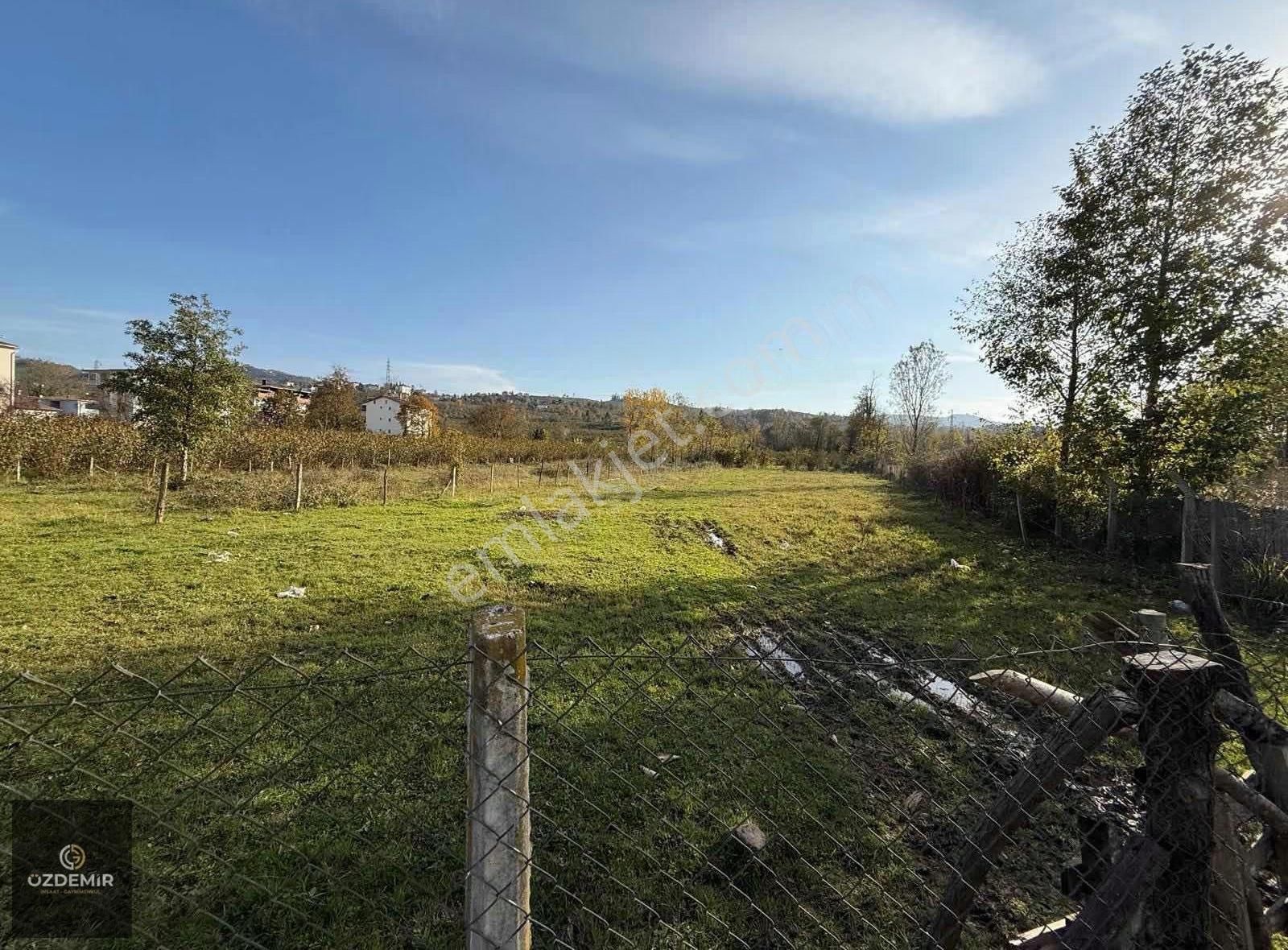 Karacaömer Mah Ana Yola Çok Yakın Mesafede Kiralık Düz Arsa - Görsel 10