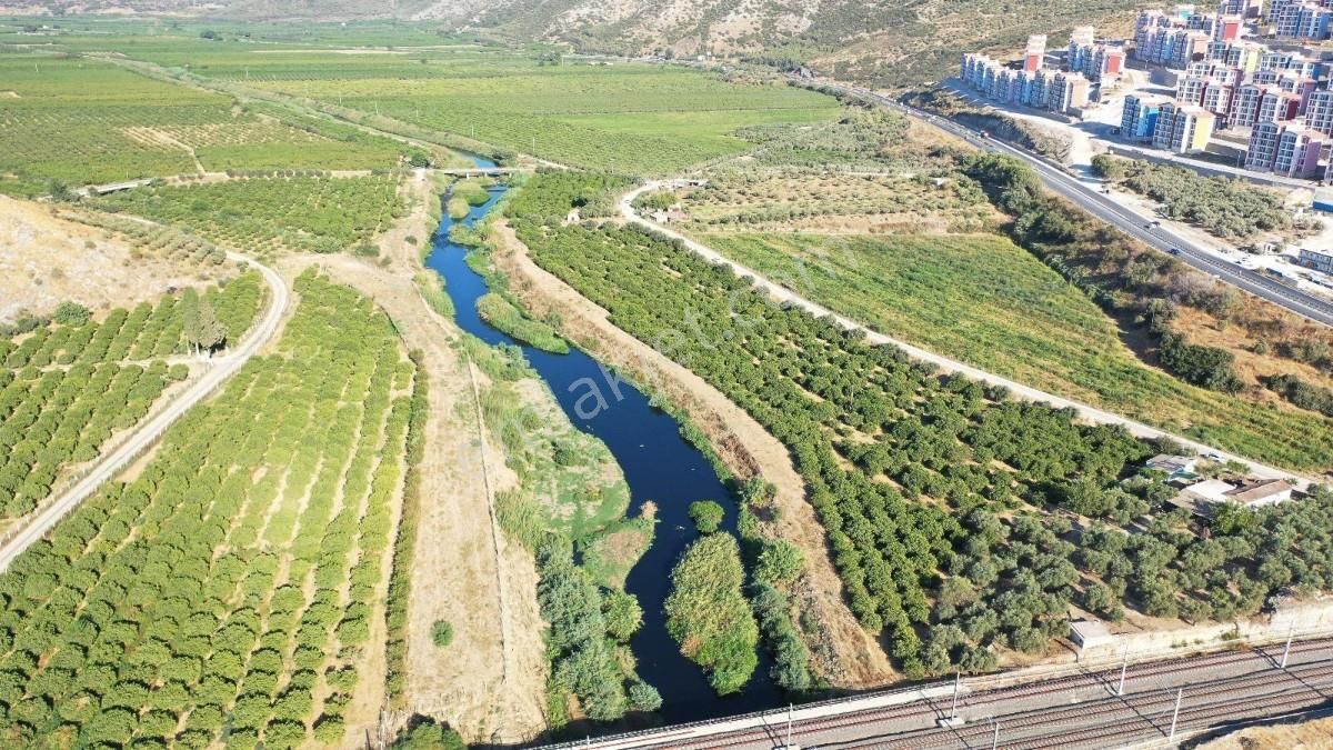 İzmir Selçuk İsabey Mahallesinde Satılık İncir Bahçesi Ve Tarla - Görsel 27