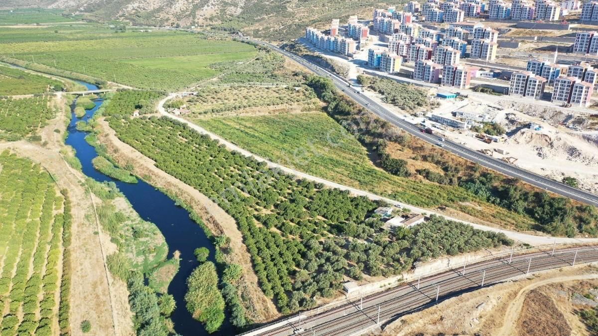 İzmir Selçuk İsabey Mahallesinde Satılık İncir Bahçesi Ve Tarla - Görsel 30