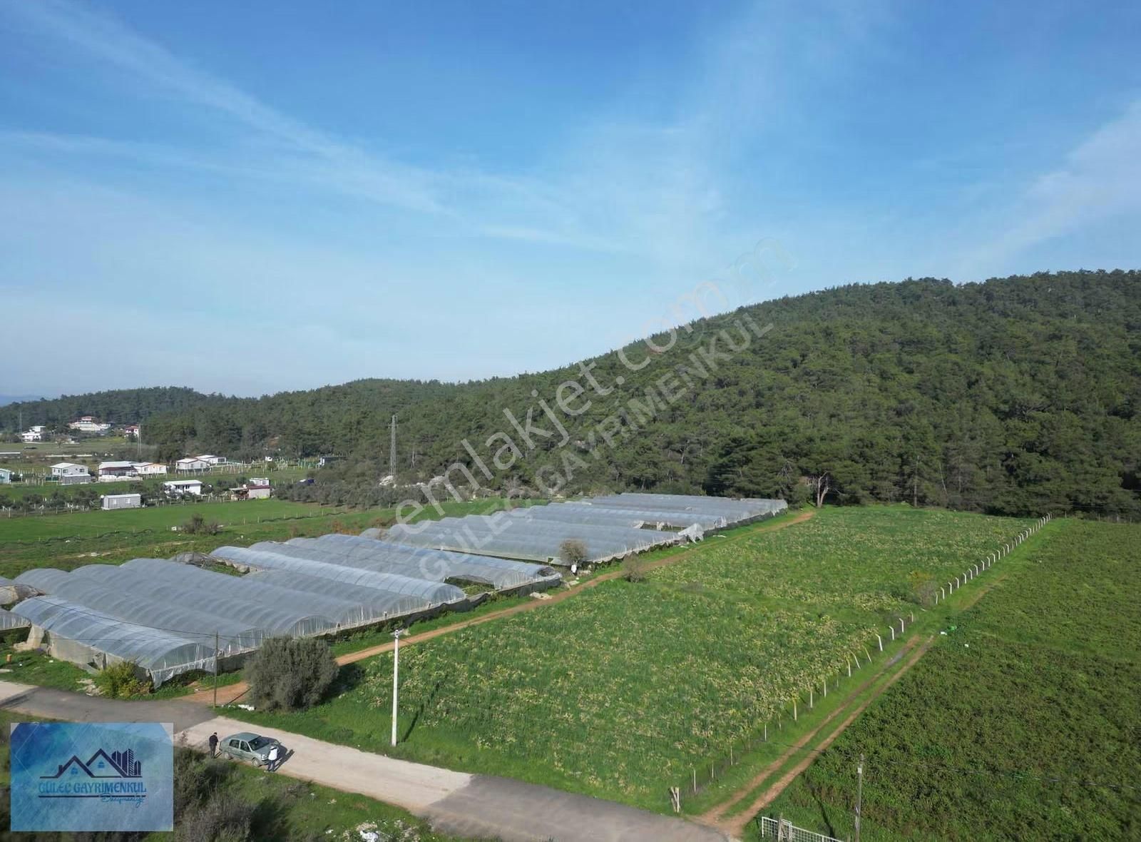 Güleçgayrimenkul Den 4dönüm Hisse Tapu Satılık - Görsel 11