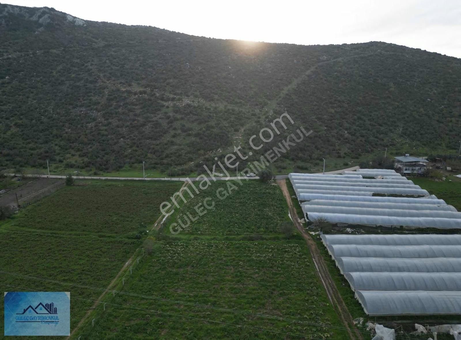 Güleçgayrimenkul Den 4dönüm Hisse Tapu Satılık - Görsel 20
