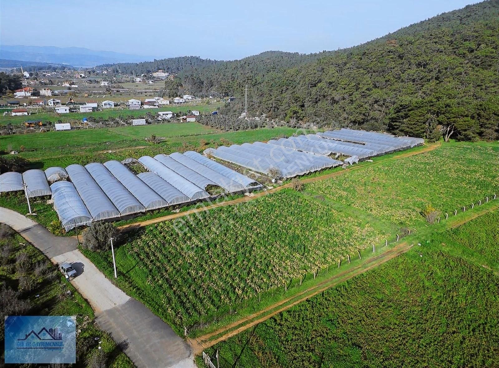 Güleçgayrimenkul Den 4dönüm Hisse Tapu Satılık - Görsel 18