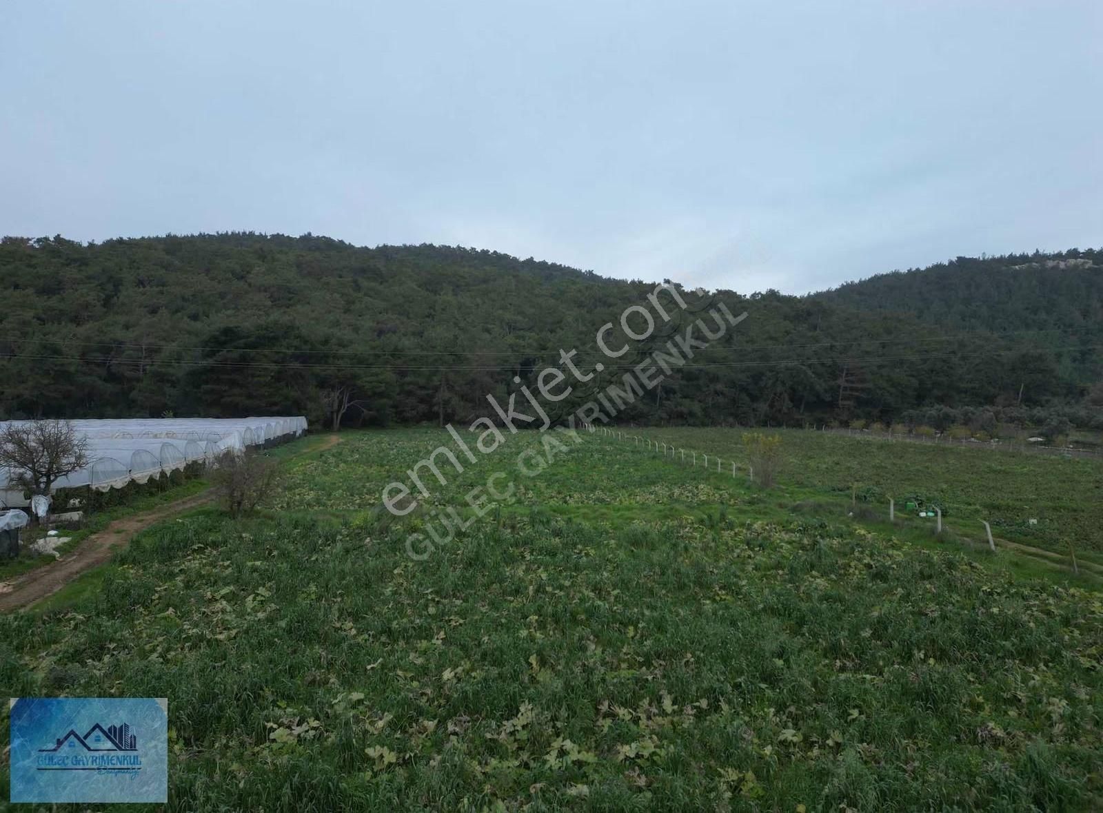 Güleçgayrimenkul Den 4dönüm Hisse Tapu Satılık - Görsel 12