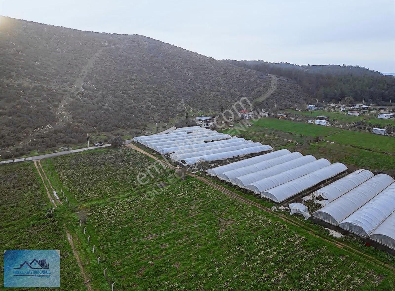 Güleçgayrimenkul Den 4dönüm Hisse Tapu Satılık - Görsel 8