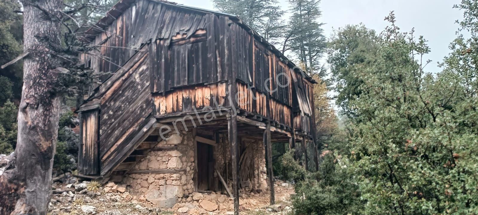 Antalya Kaş Sütleğen Eski Ev Bahçesi - Görsel 4