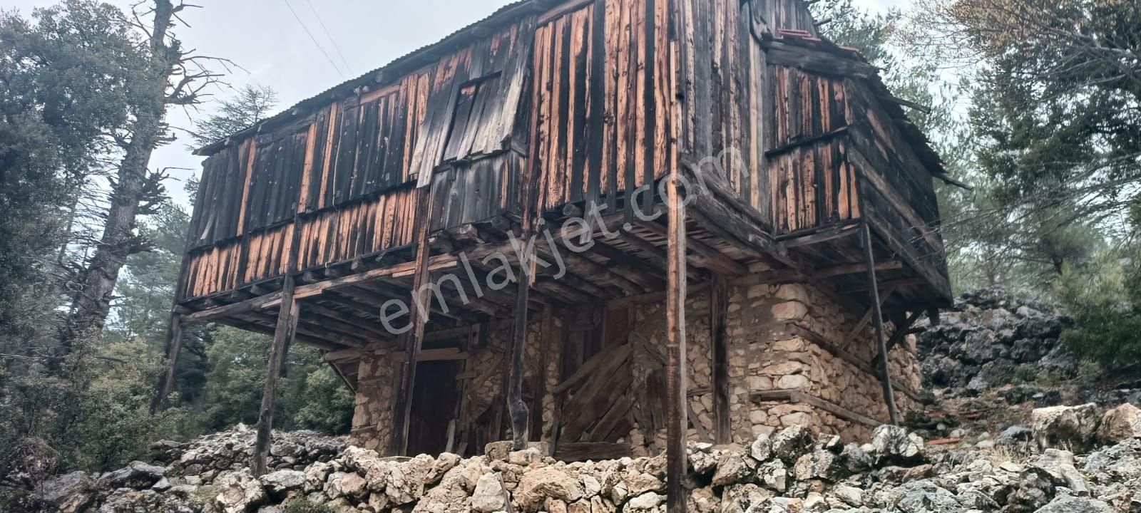 Antalya Kaş Sütleğen Eski Ev Bahçesi