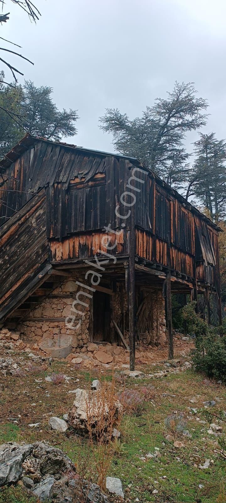 Antalya Kaş Sütleğen Eski Ev Bahçesi - Görsel 2