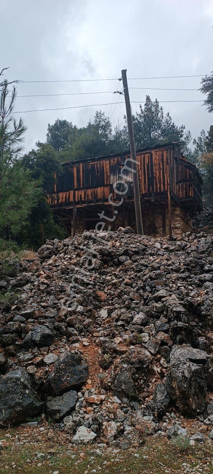 Antalya Kaş Sütleğen Eski Ev Bahçesi - Görsel 8