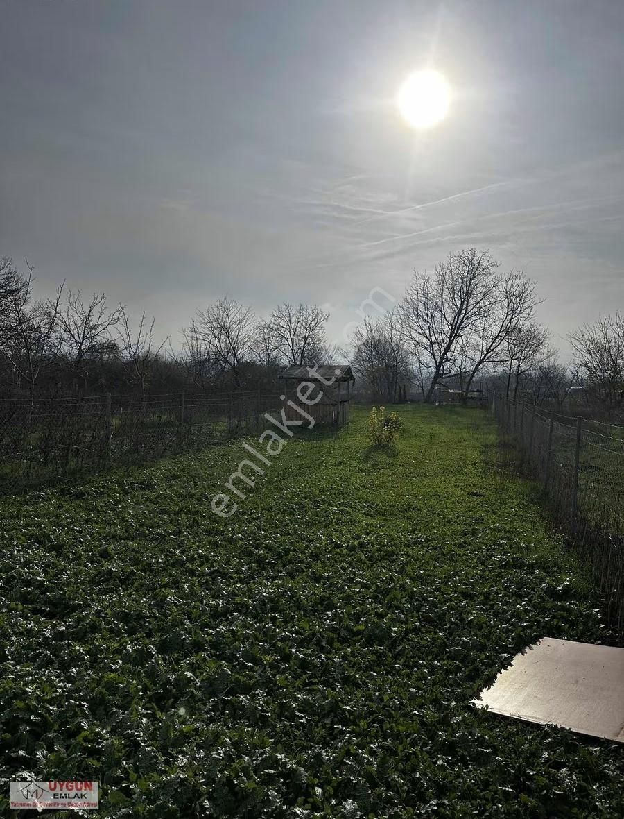 Süpürtü Mahallesinde Satılık Hazır Hobi Bahçesi - Görsel 2