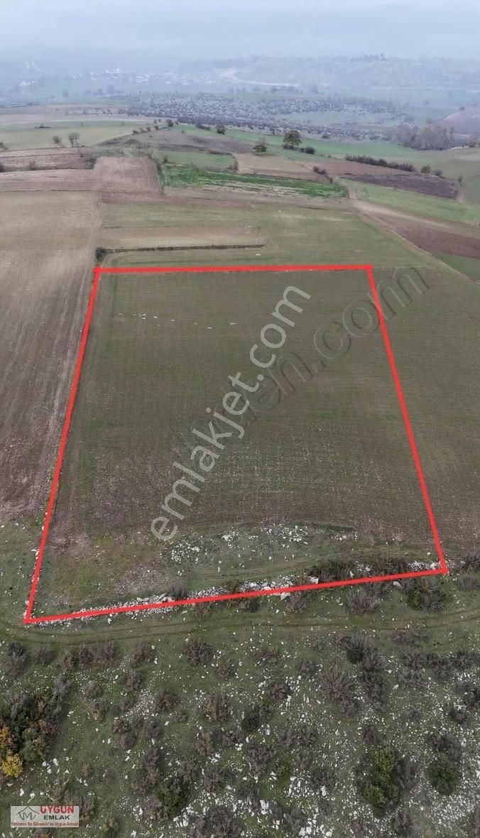 Yörük Köyde Satılık Tarla - Görsel 6