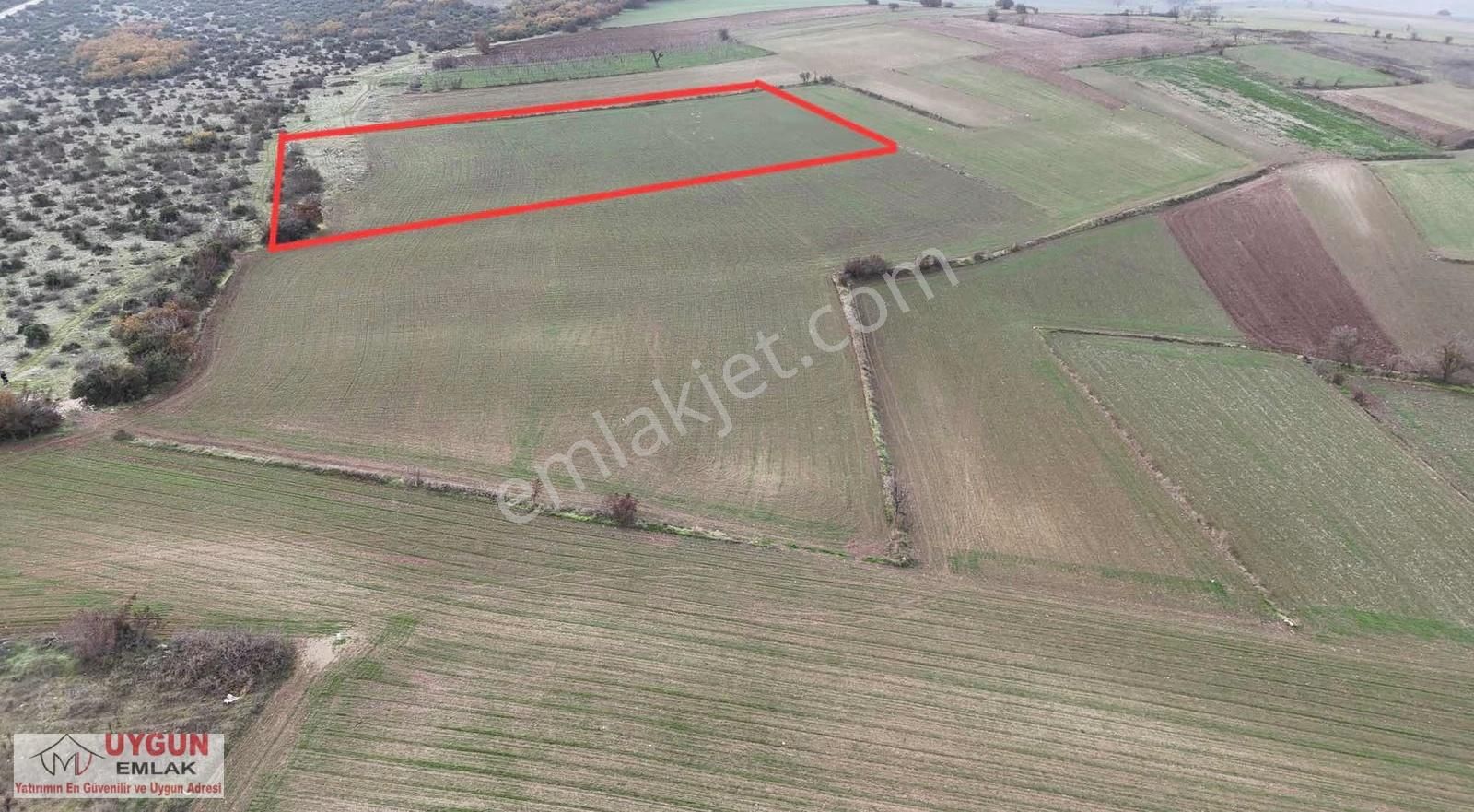 Yörük Köyde Satılık Tarla - Görsel 5