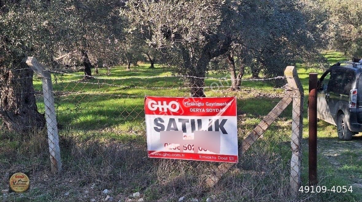 Kuşadası Kirazlı Asfaltına 150 Metre İmara Yakın Zeytinlik - Görsel 8