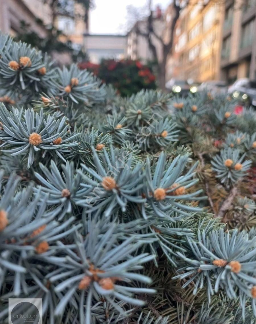 Erkutun'dan Teşvikiye Hüsrevgerede Cd. Paraleli, Armani Rezidans Cepheli, Eşyalı, 2+1 Kiralık Daire - Görsel 23