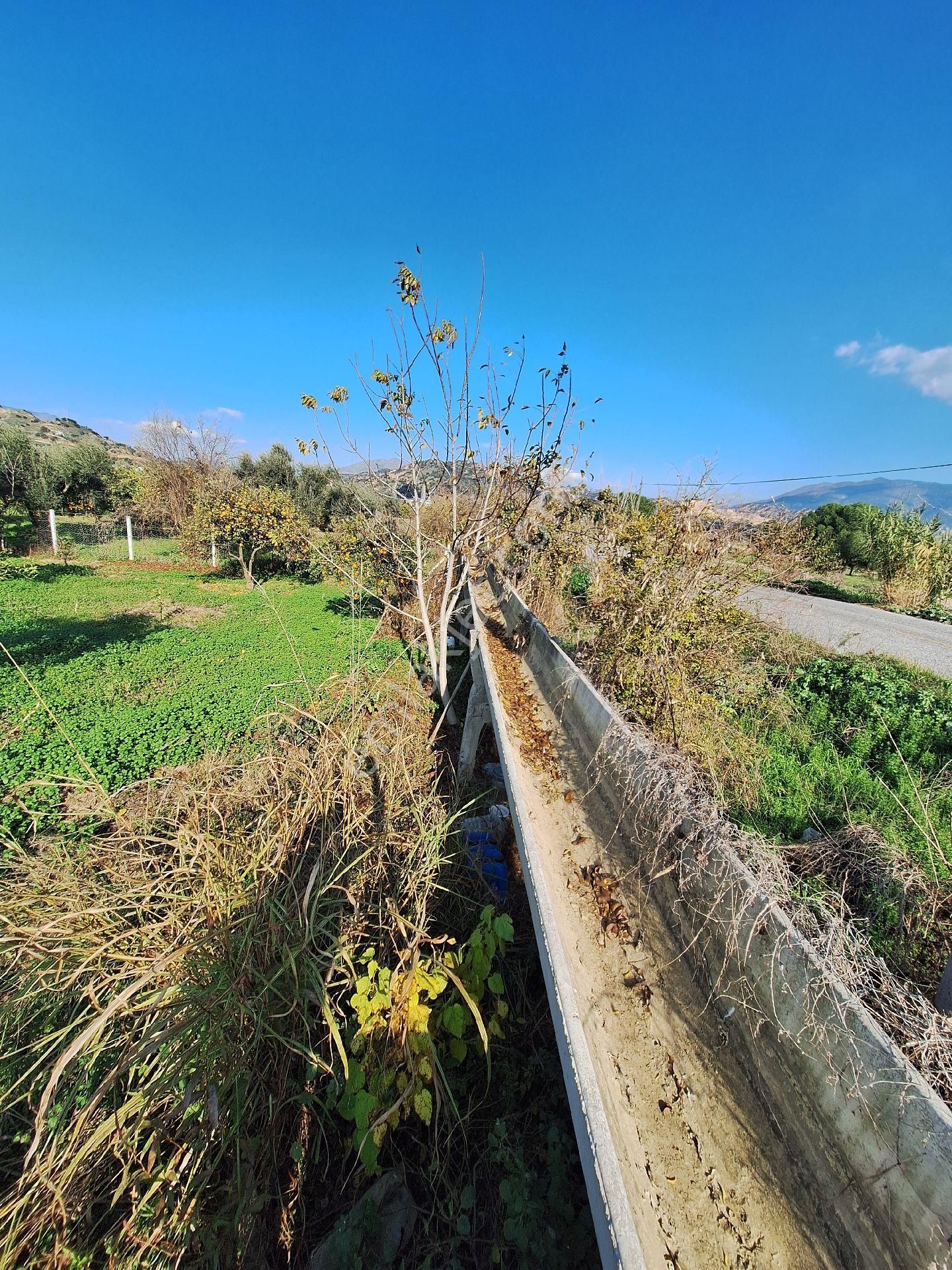 Hem Yatırım Hem Hobi Bahcesi Fırsat - Görsel 11