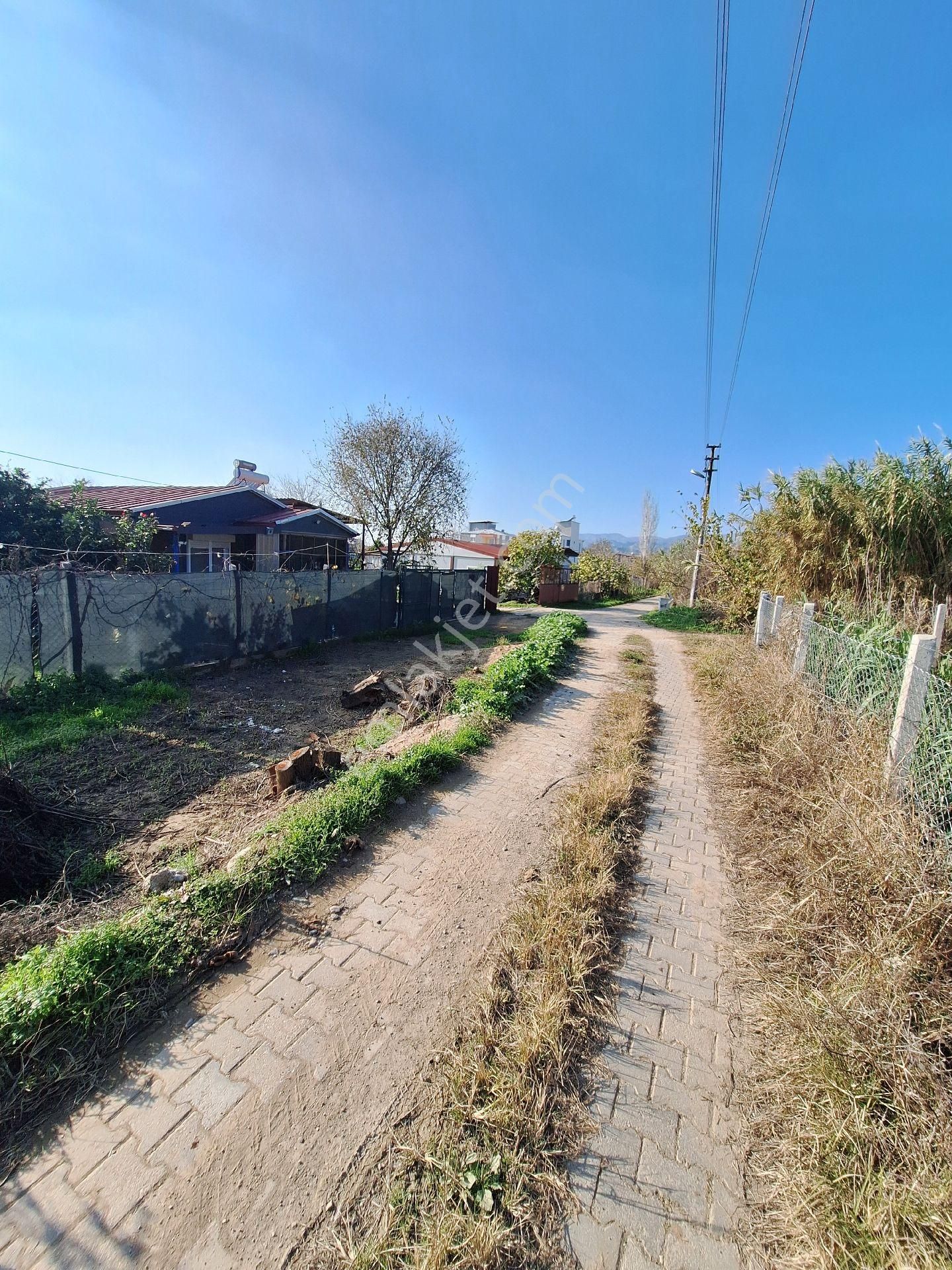 Hem Yatırım Hem Hobi Bahcesi Fırsat - Görsel 8