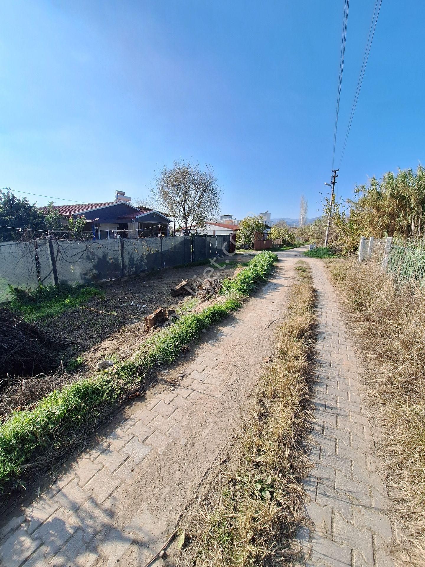 Hem Yatırım Hem Hobi Bahcesi Fırsat - Görsel 10