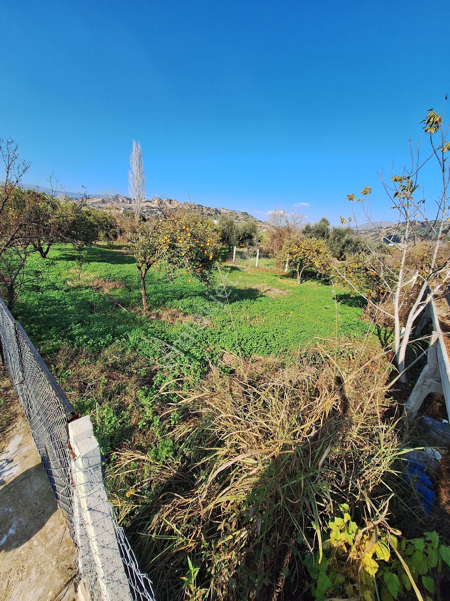Hem Yatırım Hem Hobi Bahcesi Fırsat - Görsel 14