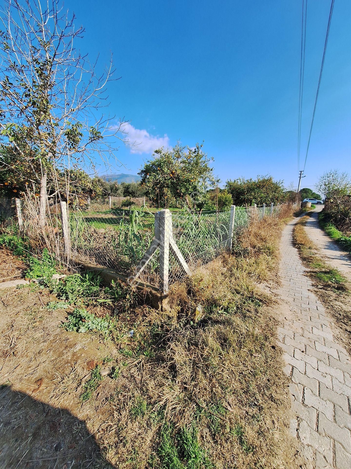 Hem Yatırım Hem Hobi Bahcesi Fırsat - Görsel 5