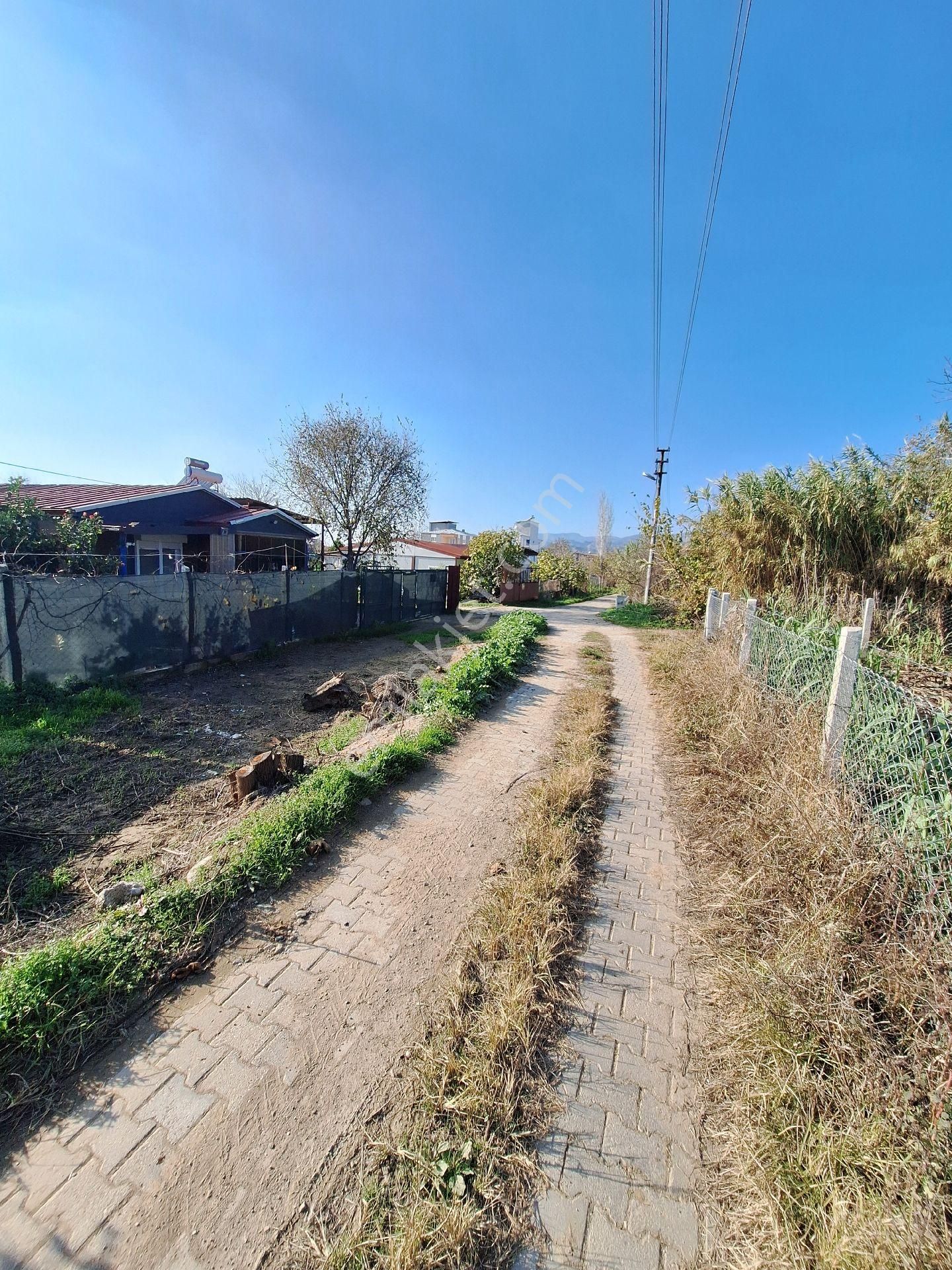 Hem Yatırım Hem Hobi Bahcesi Fırsat - Görsel 9