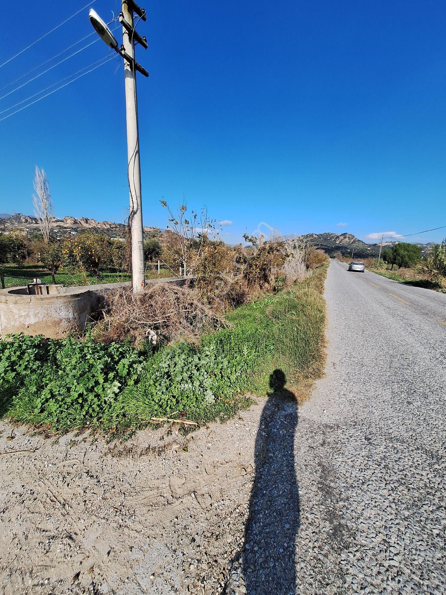 Hem Yatırım Hem Hobi Bahcesi Fırsat - Görsel 16