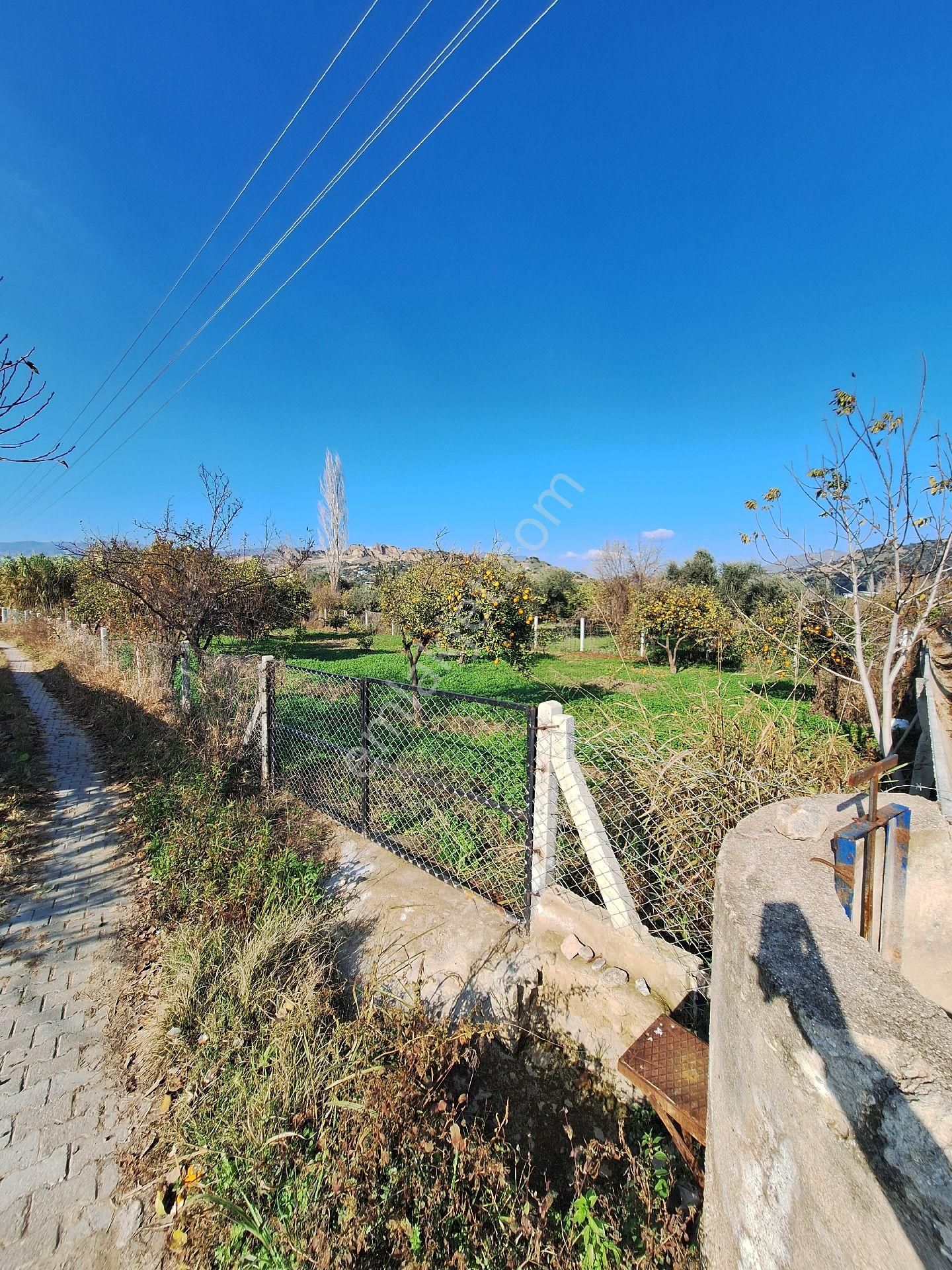 Hem Yatırım Hem Hobi Bahcesi Fırsat - Görsel 18