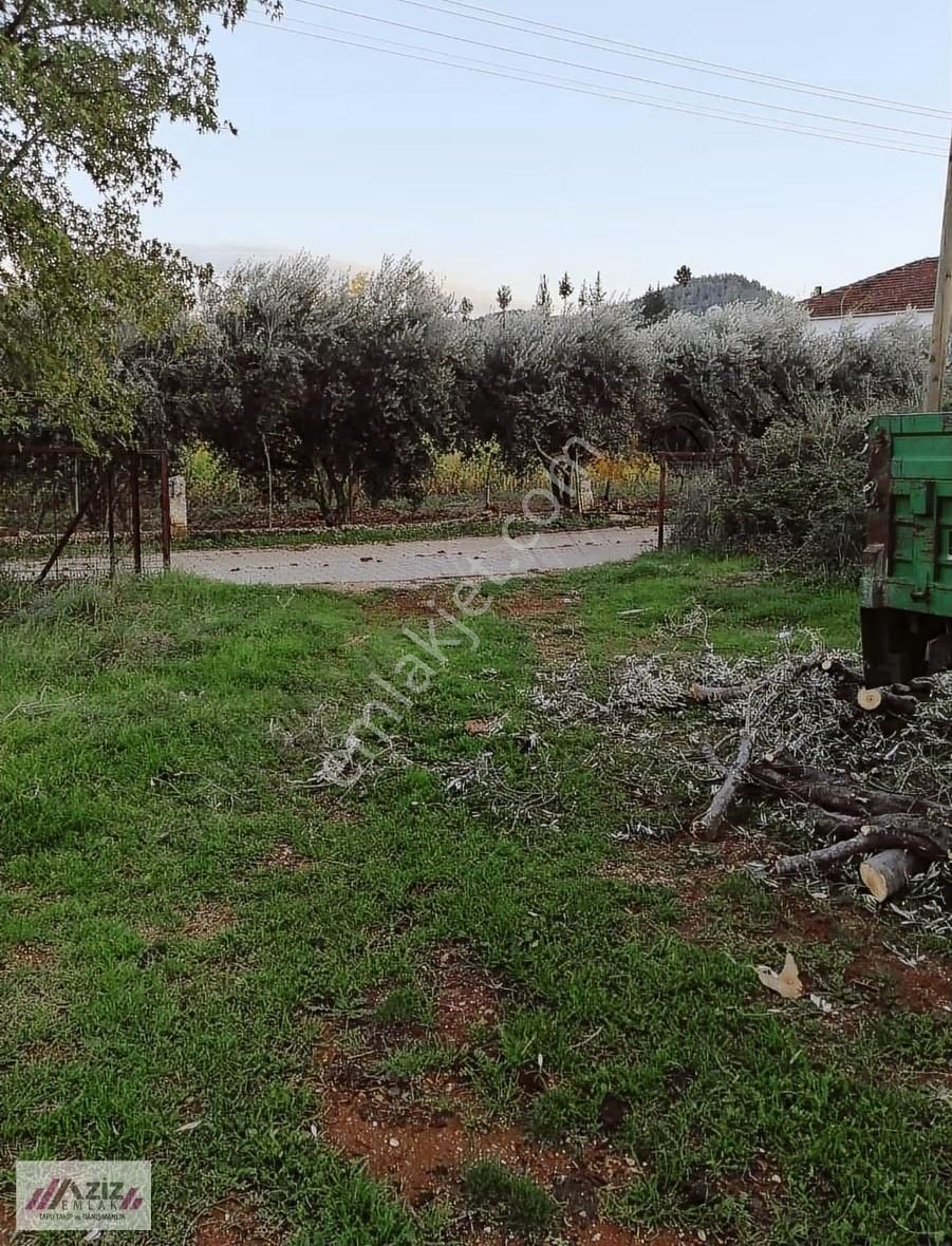 Doğayla İç İçe, Zorlar Köyünde Avantajlı Satılık Arsa - Görsel 5