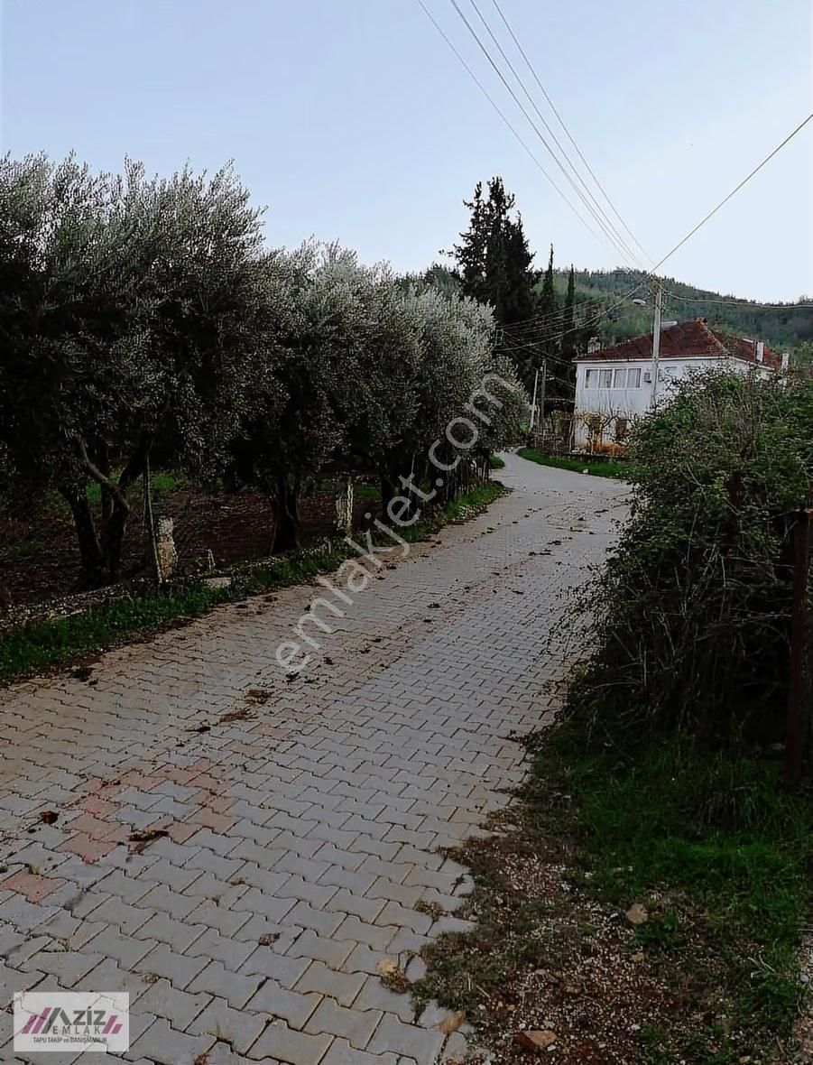 Doğayla İç İçe, Zorlar Köyünde Avantajlı Satılık Arsa - Görsel 3